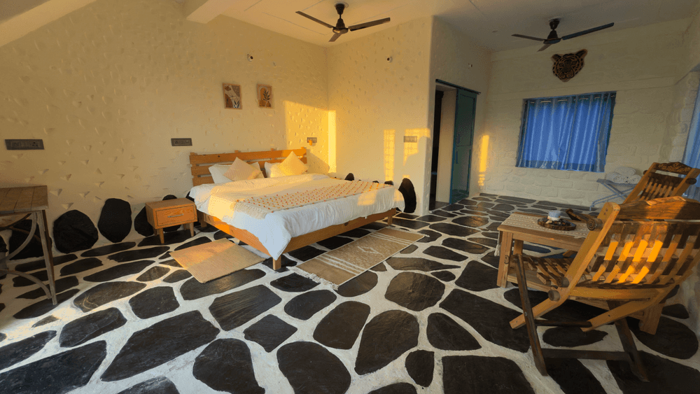Wide view of the room in the afternoon sun